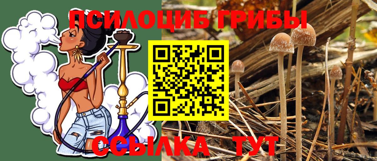 Галлюциногенные грибы MAGIC MUSHROOMS Сунжа