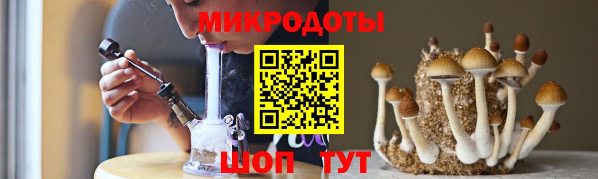 Сунжа  Галлюциногенные грибы мухоморы  где найти наркотики  Вход с VPN 